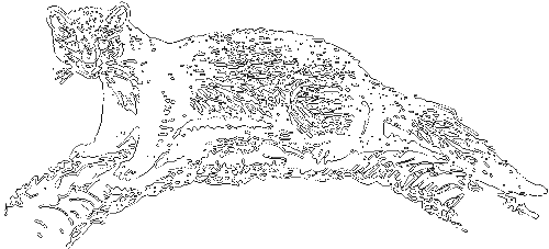 Занимательная зоология i_066.png