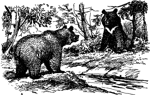 Занимательная зоология i_067.png