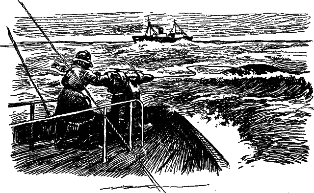 Занимательная зоология i_072.png