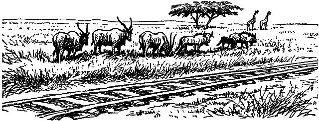 Занимательная зоология i_077.png