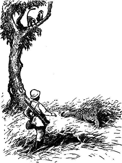 Занимательная зоология i_079.png