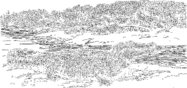 Занимательная зоология i_080.png