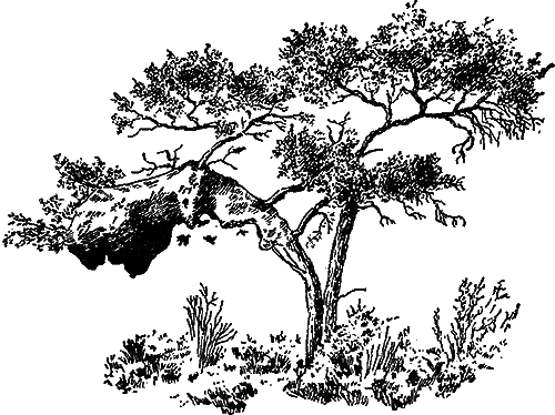 Занимательная зоология i_081.png