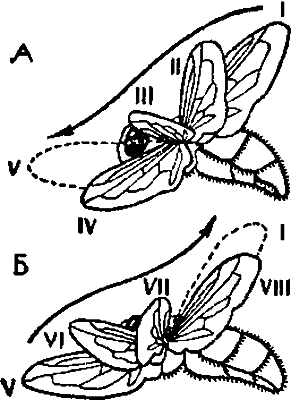 Занимательная зоология i_096.png