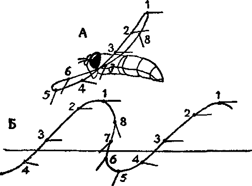 Занимательная зоология i_097.png