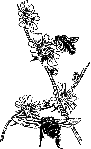 Занимательная зоология i_098.png