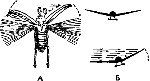 Занимательная зоология i_107.png