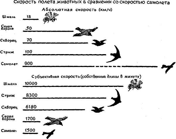 Занимательная зоология i_109.png