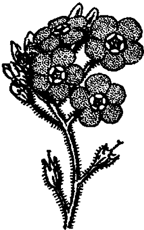 Занимательная зоология i_113.png
