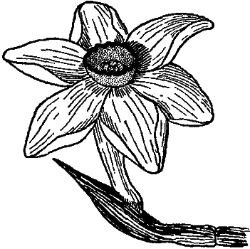 Занимательная зоология i_115.png