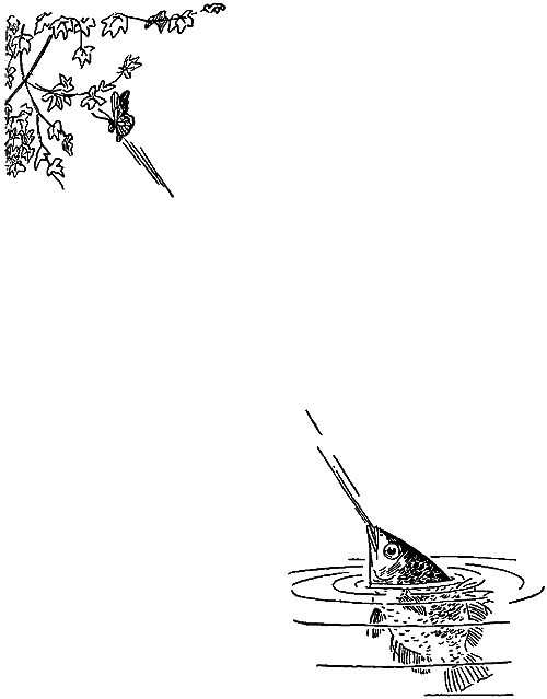 Занимательная зоология i_125.png