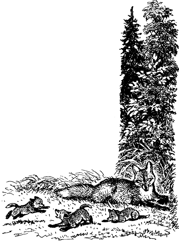 Занимательная зоология i_135.png