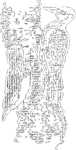 Занимательная зоология i_169.png