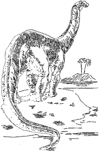 Занимательная зоология i_011.png