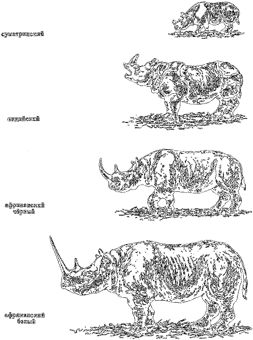 Занимательная зоология i_012.png