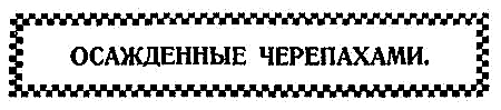 Пещера чудовищ (сборник) i_016.png