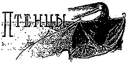 Пещера чудовищ (сборник) i_017.png