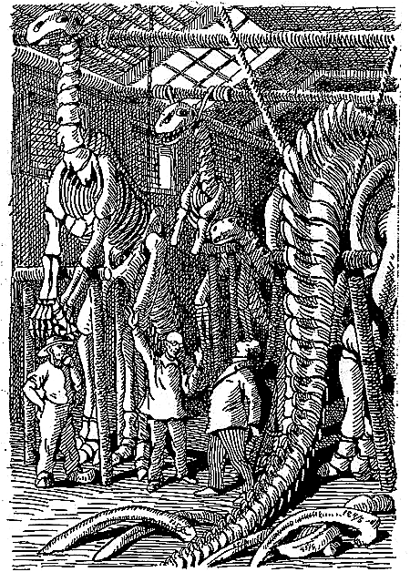 Пещера чудовищ (сборник) i_028.png
