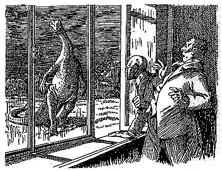 Пещера чудовищ (сборник) i_030.png