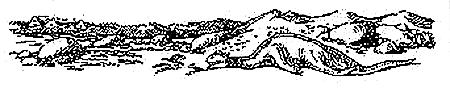Пещера чудовищ (сборник) i_031.png