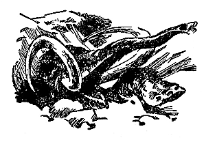 Пещера чудовищ (сборник) i_011.png