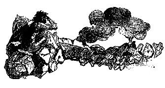 Пещера чудовищ (сборник) i_012.png