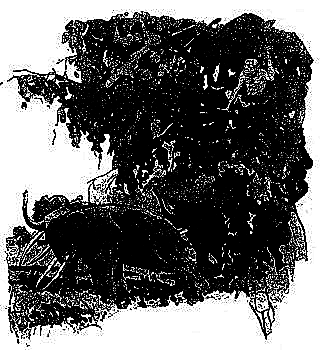 Пещера чудовищ (сборник) i_014.png