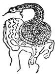 Курс - море мрака i_013.jpg