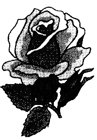 Монсегюр. В огне инквизиции i_035.png