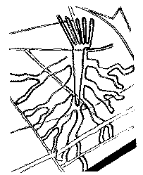 Глина, вода и огонь i_045.png