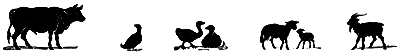 Удивительные приключения подмастерье Хлапича i_019.png