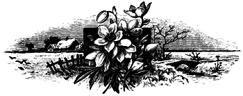 Удивительные приключения подмастерье Хлапича i_024.png