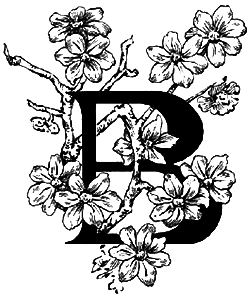 Удивительные приключения подмастерье Хлапича i_026.png