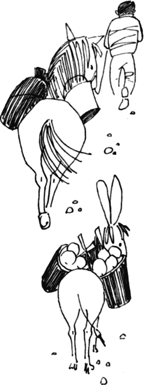 Робинзонада Яшки Страмболя i_006.png