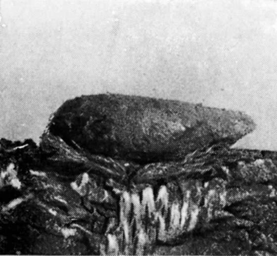 Фабр i_055.jpg