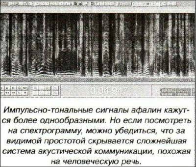 «Открытия и гипотезы» №2, 2012 i_004.jpg