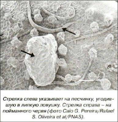 «Открытия и гипотезы» №2, 2012 i_019.jpg