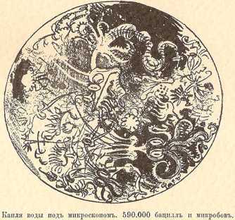 Двадцатое столетие. Электрическая жизнь (старая орфография) i_134.jpg