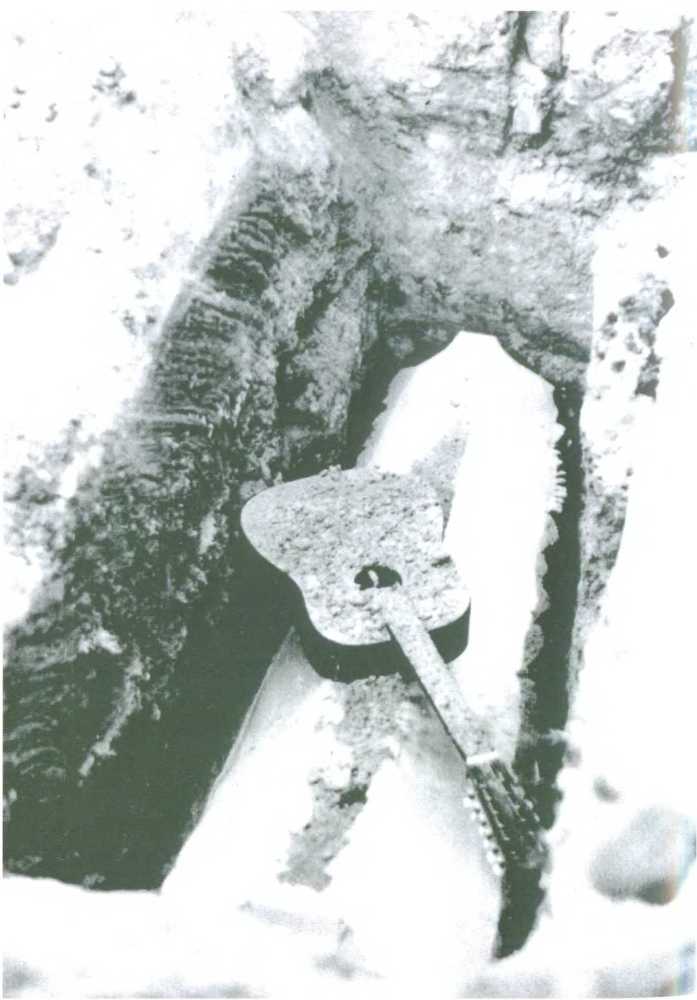 Александр Башлачёв - Человек поющий _73.jpg