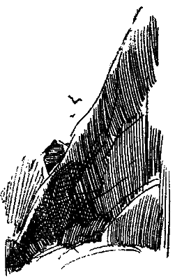 Засада на черной тропе i_019.png