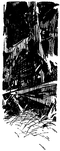 Засада на черной тропе i_027.png