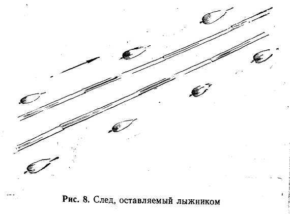 Подготовка войскового разведчика _10.jpg