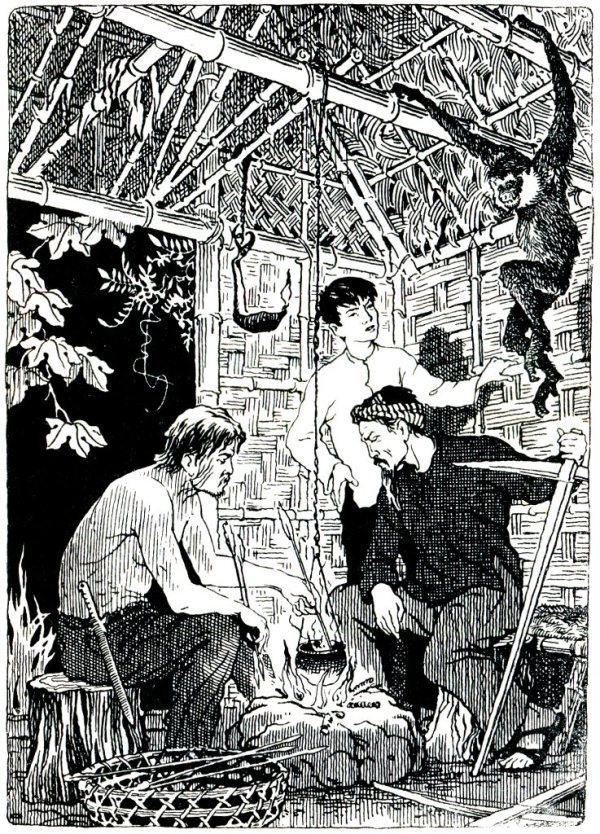 В джунглях Юга i_010.jpg