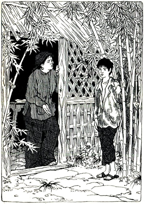 В джунглях Юга i_004.jpg