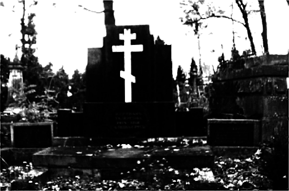 Геноцид карпаторусских москвофилов – замолчанная трагедия ХХ века i_002.png