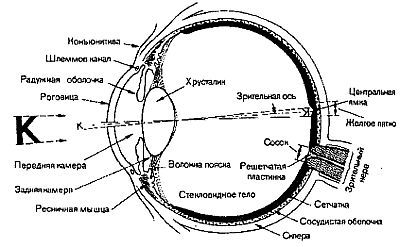 Стиль спецназа. Система боевого выживания _13.jpg