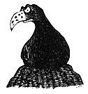 Румо и чудеса в темноте. Книга II _1_oblogka.png