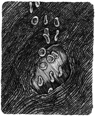 Румо и чудеса в темноте. Книга II _5_krtelca.png