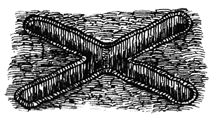 Румо и чудеса в темноте. Книга II _9_in6.png