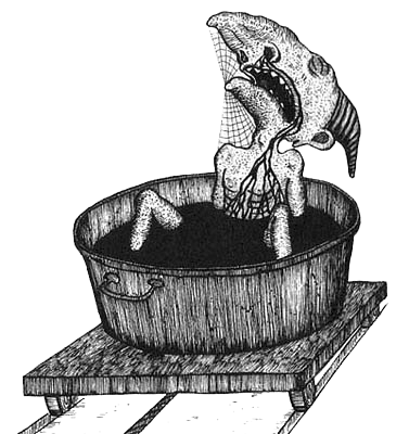 Румо и чудеса в темноте. Книга I _3_karlik.png_0